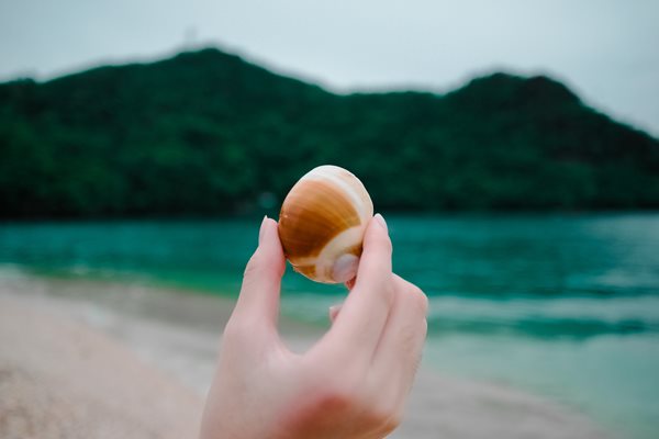 beach-blur-cliff-193822.jpg